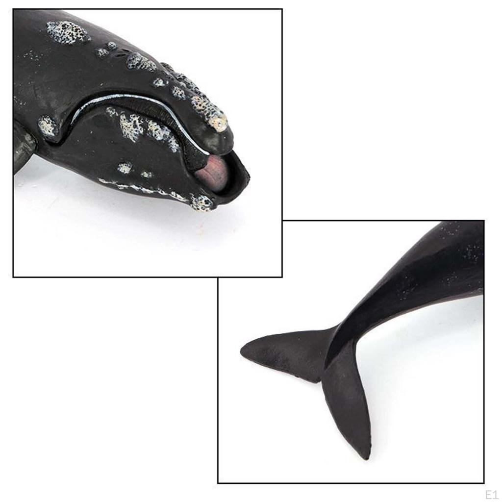 Whale Action Figure, Realistic Sea Model Marine Animals, Aquarium Simulation Role Play Life for
