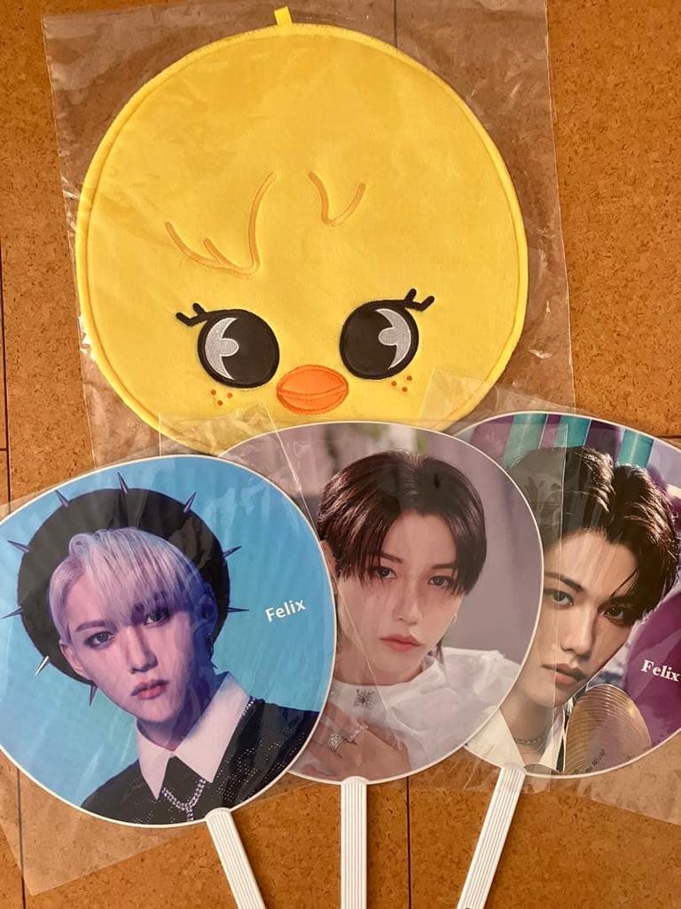 [USED] Straykids Felix Fan Case Cover