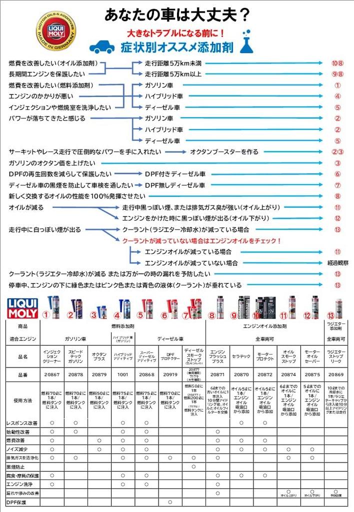 LIQUIMOLY Injection Cleaner 300ml 20867