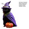 Black Cat Theme Party Supplies Halloween Witch On Pumpkin Resin Statue, Mysterious Gothic Tabletop Creative Sculpture for Holiday Figurine,