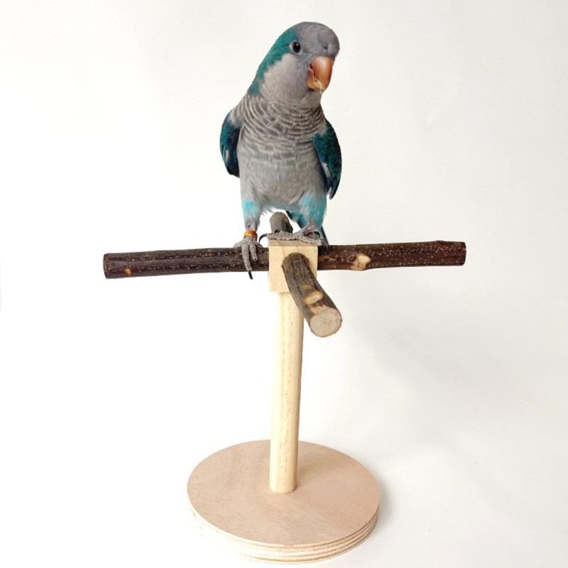 Suport rotativ molar din lemn pentru păsări, pentru papagali conuri, accesorii pentru perusi, scărpătoare pentru papagali mici și mijlocii