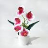 5 Blooms Artificial Orchid Arrangement Realistic Potted Flower Display  Table Centerpiece