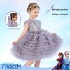 Disney Frozen Elsa Mesh Princess Dress
