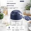 Wireless Electric Garlic Chopper 2 Stainless Steel Blades 250Ml Glass Container For Home Kitchen Mincing Garlic Veggies Spices