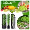 Vanilla Fresh Keeping Box Household Vegetable Fresh Keeping Device Coriander Herbal Travel Fresh Keeping Box