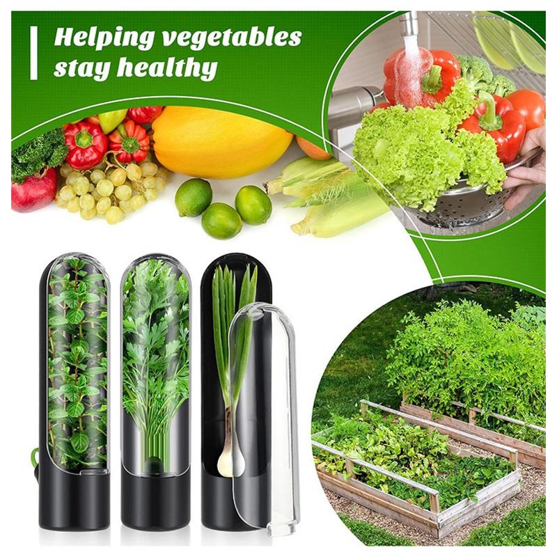Vanilla Fresh Keeping Box Household Vegetable Fresh Keeping Device Coriander Herbal Travel Fresh Keeping Box