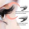 Two Pairs of Magnetic False Eyelashes with Curler - No Glue Needed, European & American Thick Style.