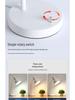 Eye-Safe LED Desk Lamp for Study, Dorm, or Office