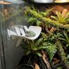 Simulated Leaves Lizard Habitat Leaf Leaf Shape Climbing Rest  for Amphibian Terrarium