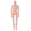 Nursing Training Manikin, Male/Female Life Size Demonstration Human Manikin for Nursing Training, Multifunctional Education Teaching Model, PVC