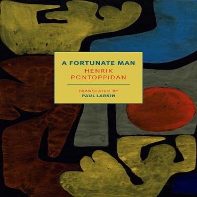 A Fortunate Man by Paul Larkin Paperback Book 9781681379272