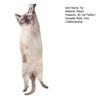 Men Tie Realistic 3D Cat Pattern Smooth Feel Neck Tie Funny Kitten Design Tie Weddings Parties Office Wear