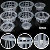 Plastic Planting Baske Transparent Net Cloning Basket