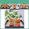 Capybara Unique Hamburger Plush Toy Keyring Perfect Size For Backpack And Bag Accessories