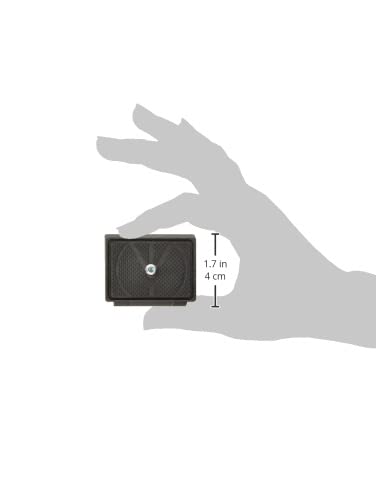 Manfrotto Lightweight Quick Release Plate, for Manfrotto tripod heads, Light Quick Shoe, Rectangular Plate, Genuine Product, 200LT-PL