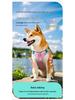 Large Dog Vest-Style Harness with Velcro & Shock-Resistant Leash