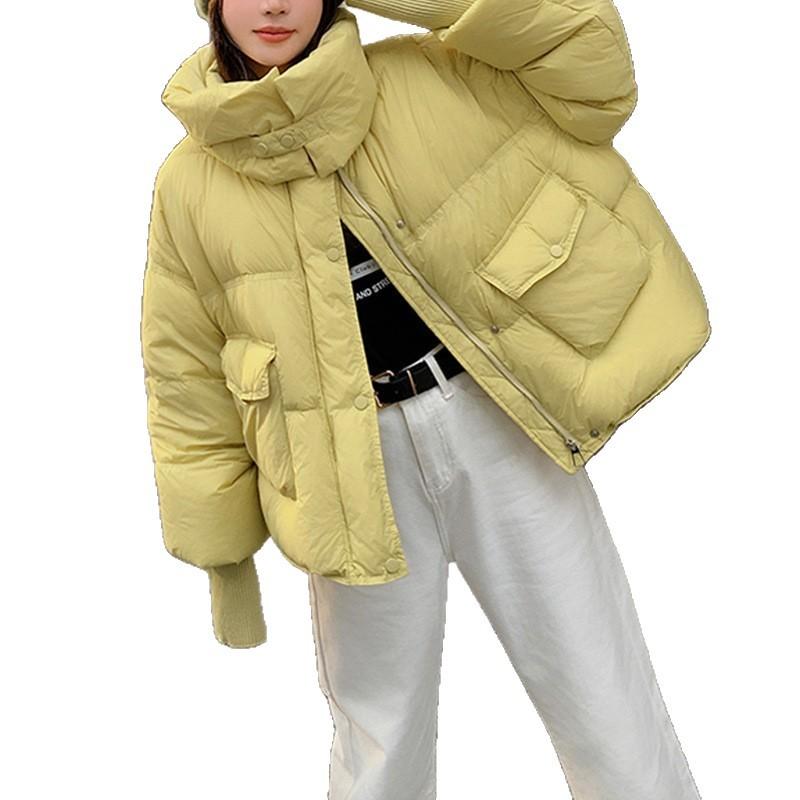 Clearance Down Jacket Women's Winter Women's Short Models, New Korean Version Autumn and Winter Women's Large-size Down Jacket