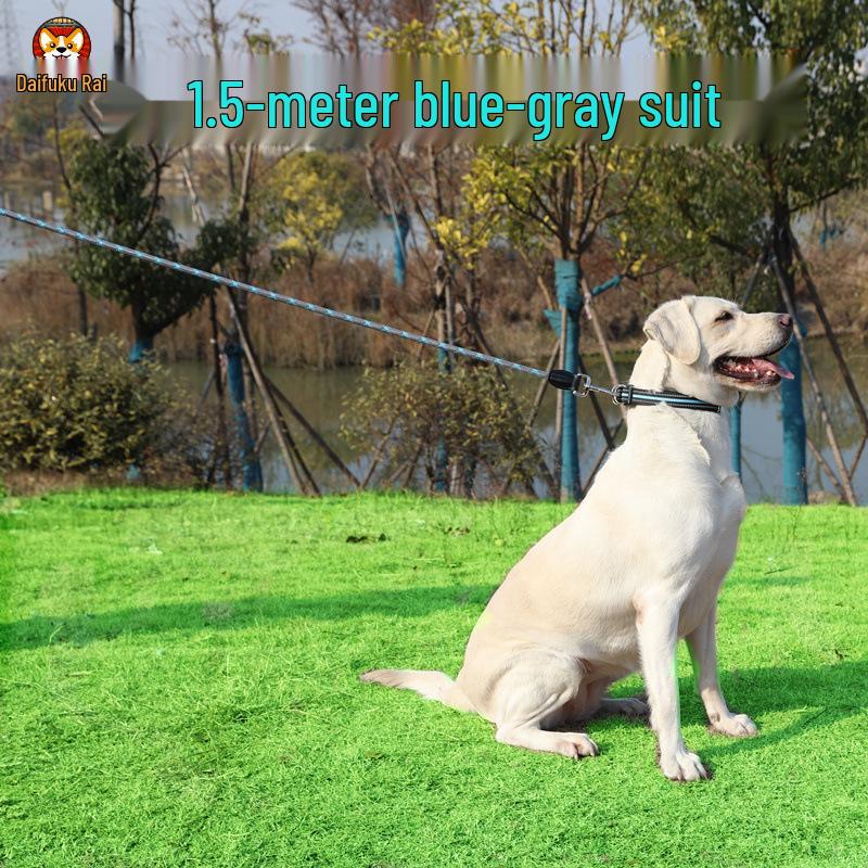 2m Anti-Shock Dog Leash with Collar for Medium & Large Breeds - Golden Retriever & Teddy Training Rope