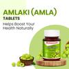 Baidyanath Amlaki 60 Tablets X Pack of 3 Natural Health Booster for Hair Skin Digestion Metabolism Support