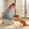 50 Pack Colorful Plastic Cats Spring Toys - Interactive Bouncing Toys For Indoor Cats & Kittens, Random Colors