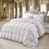 100% Pure Cotton Goose Down Comforter, Five-star Hotel Down Comforter, Winter Thick Comforter, Spring and Autumn Comforter