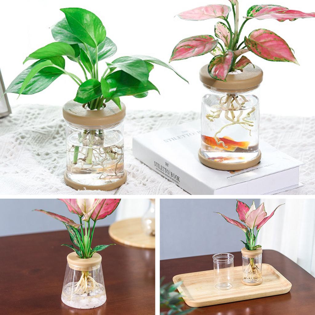 1Pc Transparent Hydroponic Vase Plastic Vase Simple Style Plant Flower Pot Flower Arrangement Home Decoration Tabletop Ornament