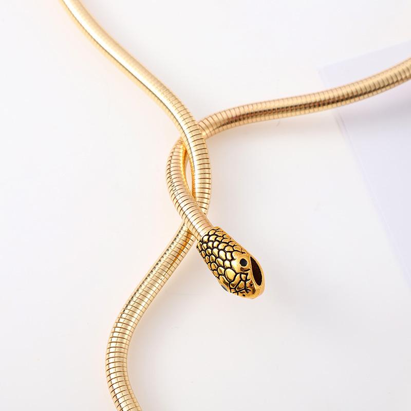 Winding Spirit Snake-Shaped Exaggerated Collar Design Sense Personalized Necklace Exotic Ethnic Style Bracelet Light Luxury High-End Sense Necklace