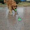 Pet Teething Toy: Bite-Resistant Ball with Suction Cup for Dogs