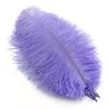 10Pcs Ostrich Feathers Decorative Vase Pluma Wedding Table Centerpieces Carnival Accessories DIY Creative Leisure Craft Supplies