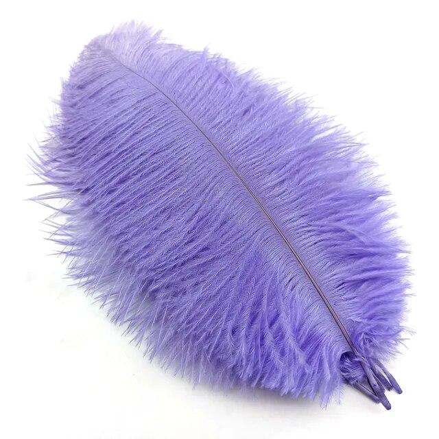 10Pcs Ostrich Feathers Decorative Vase Pluma Wedding Table Centerpieces Carnival Accessories DIY Creative Leisure Craft Supplies