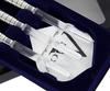 DYNASTY A-FLOW SILVER LINE EARTH SALVIA 2BA Soft Darts Barrel