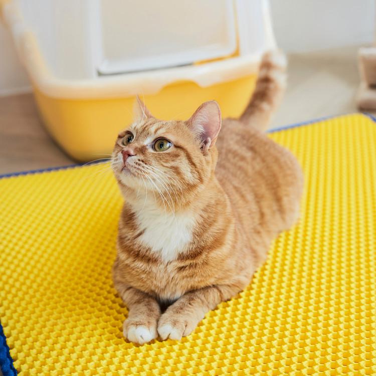 Clean Up Mat (Large/Yellow) Cat Toilet Desertification Prevention Sand Mat Footrest