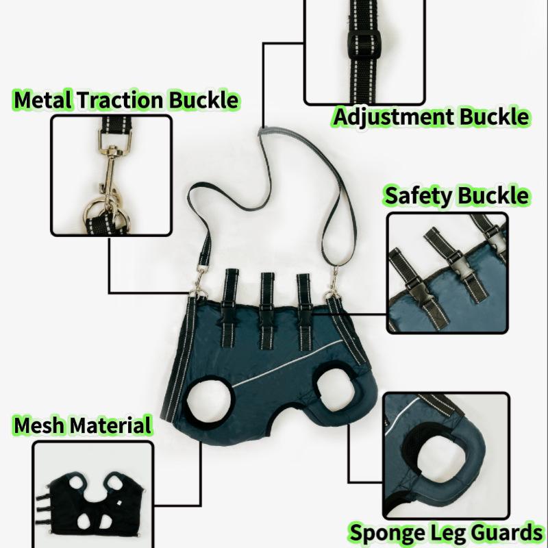 Podpůrný oblek pro mobilitu starých a hendikepovaných psů