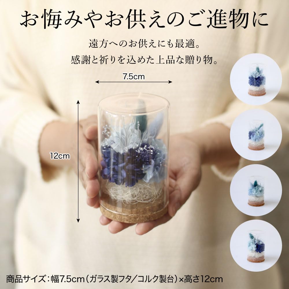 Preserved Flowers, Dome Bottle, Purple, Buddhist Flowers, Offerings, Sympathy Flowers, Equinox, Obon, Flower Arrangements, Never Withers (Bottle Blue)