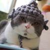 Soft and Cozy Cat Hat With Plush Ears, Handcrafted Cute Bear Design Warm Pet Headwear for Cats and Small Dogs