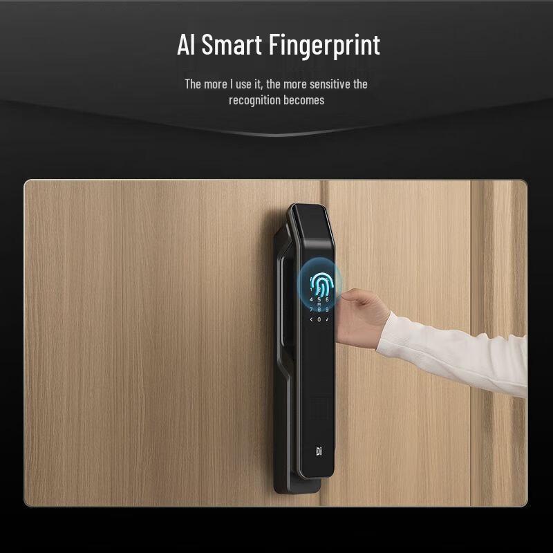 DESMAN Q3E Fully Automatic Smart Door Lock