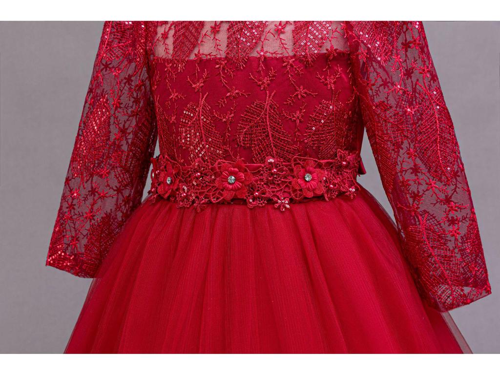 Long Sleeve Lace Princess Dress for Girls - Evening and Performance Wear
