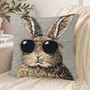 Unique 2D Printed Double-sided Printed Pillow Cover Short Plush Suitable Living Rooms Bedrooms Sofas Throw Cushion Cover