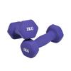 Hengda Dipped Hex Dumbbell Set