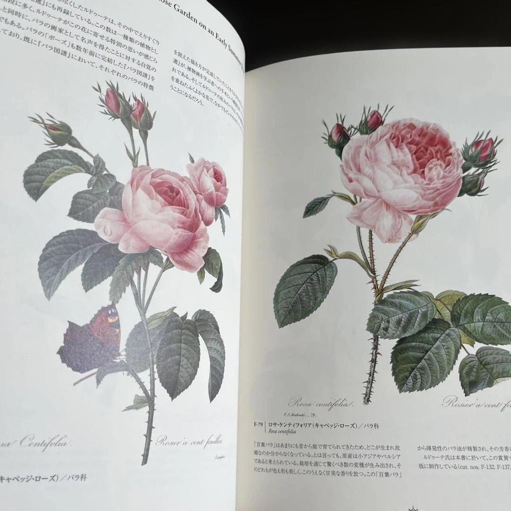 [USED] Pierre-Joseph Redouté's Fairest Flowers