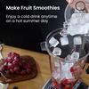 OUTDOORMORE 2.5L Heavy Duty Blender 3-in-1 Fruits and Vegetables Juicer Blender High Power