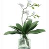 Plastic Artificial Plant Real Touch Fake Plant Simulation Plant Decorative Plant  Decorative