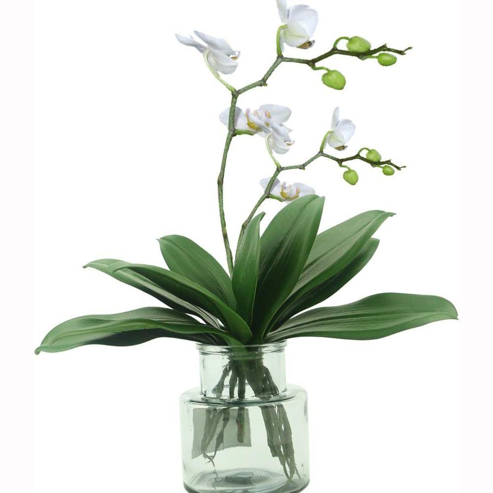 Plastic Artificial Plant Real Touch Fake Plant Simulation Plant Decorative Plant  Decorative