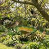 Durable Heart Shape Hanging Bird Feeder Flower Iron Bird Feeding Station Anti-Leakage Large Capacity Bird Food Container Yard