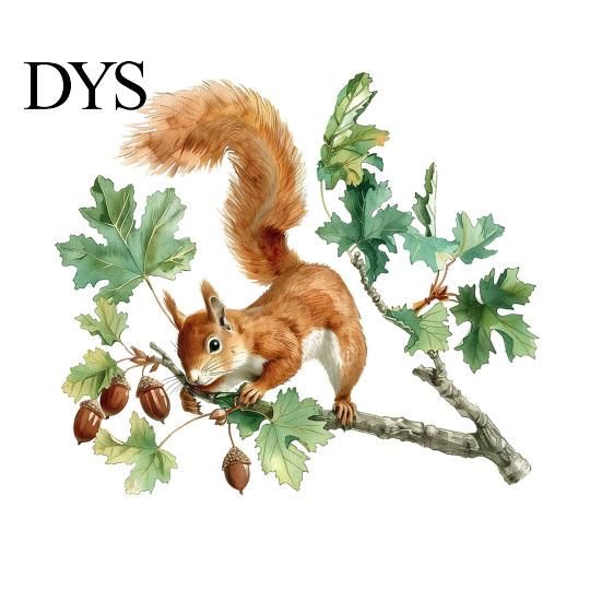 Waterproof Outdoor Window Decals Watercolor Squirrel Wall Sticker, Cute Tree Branch Decal, Removable PVC Art Forest Animal Mural for Living