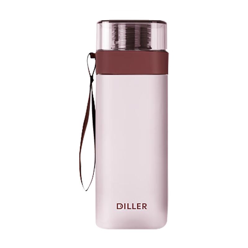 Dileber Frosted Stainless Steel Water Bottle
