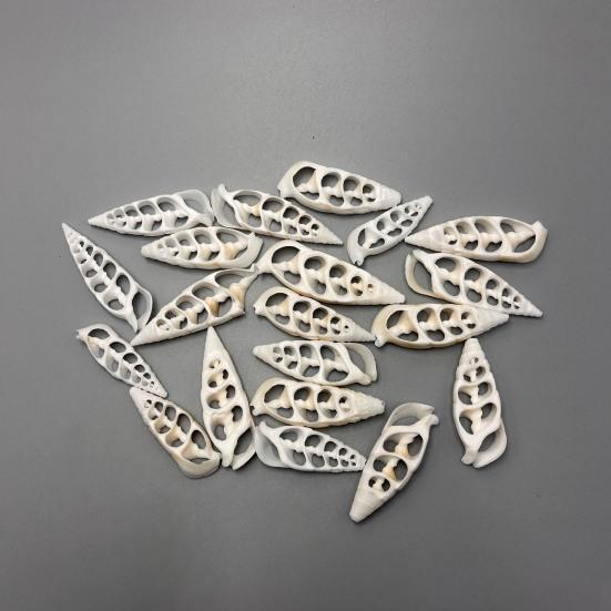 Center Cut Shells Natural Center Cut Sea Shells Pre-Cut Conch Slices for DIY Crafts Wind Chimes Coastal Home Decor Nautical Jewelry