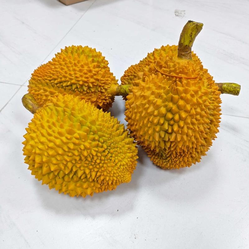 Dekorace z falešného ovoce Realistický umělý durian Falešný durian Simulace modelu durianu Ozdoba Domácí kuchyně, Dekorace na párty