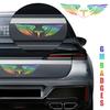 Acessórios de exterior – Adesivos para carros