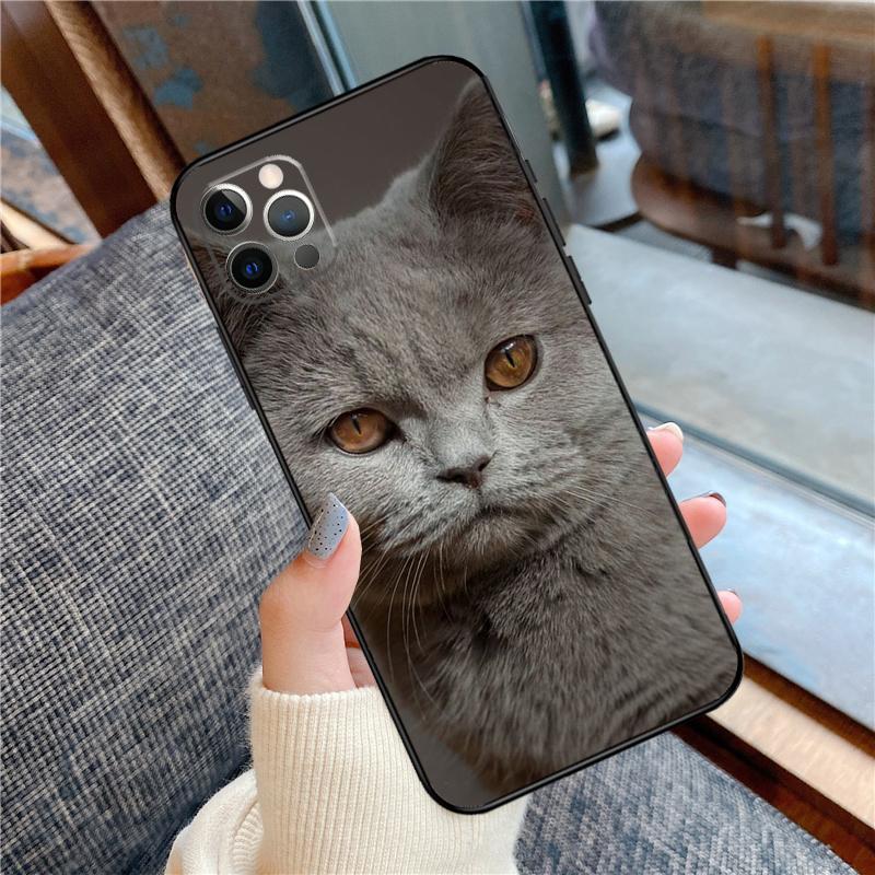 British Shorthair Cat Phone Case For iPhone 16 15 14 13 11 12 Pro Max 12 13 mini XR 15 16 Plus 16e Cover Shell